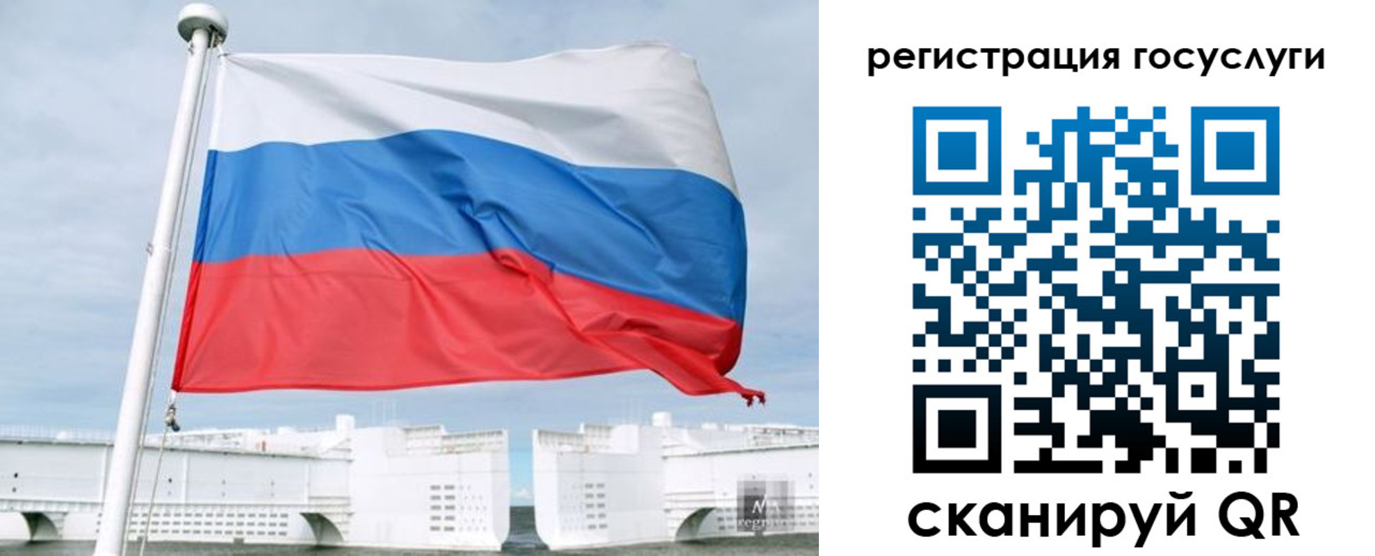 временная регистрация поиск в Снежногорске
